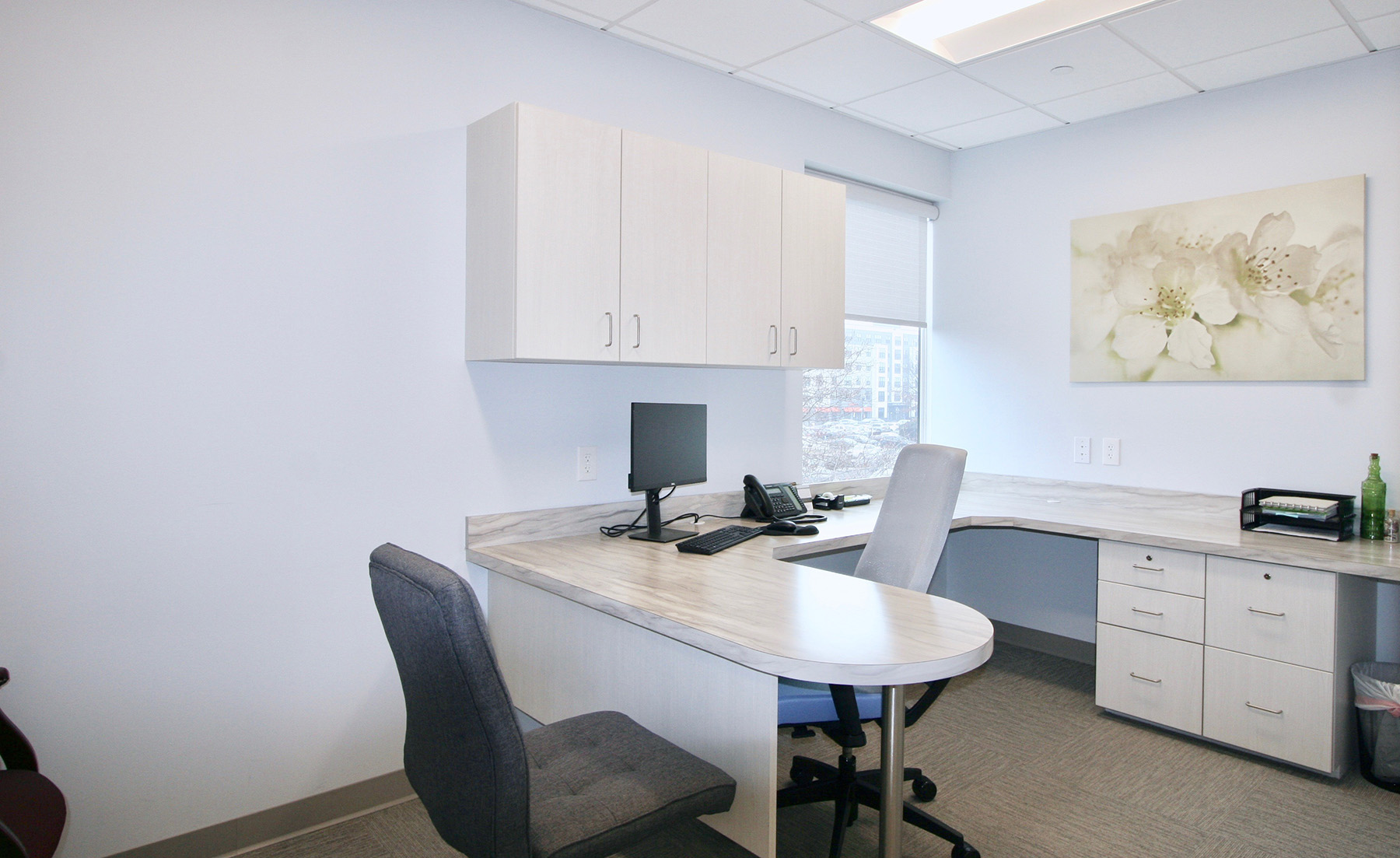 Alliance Dental Center, LLC Doyle and Mattheson